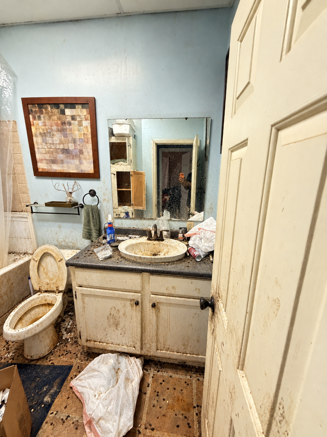 Bathroom before mouse and rat contamination cleanup in Gilmer Texas