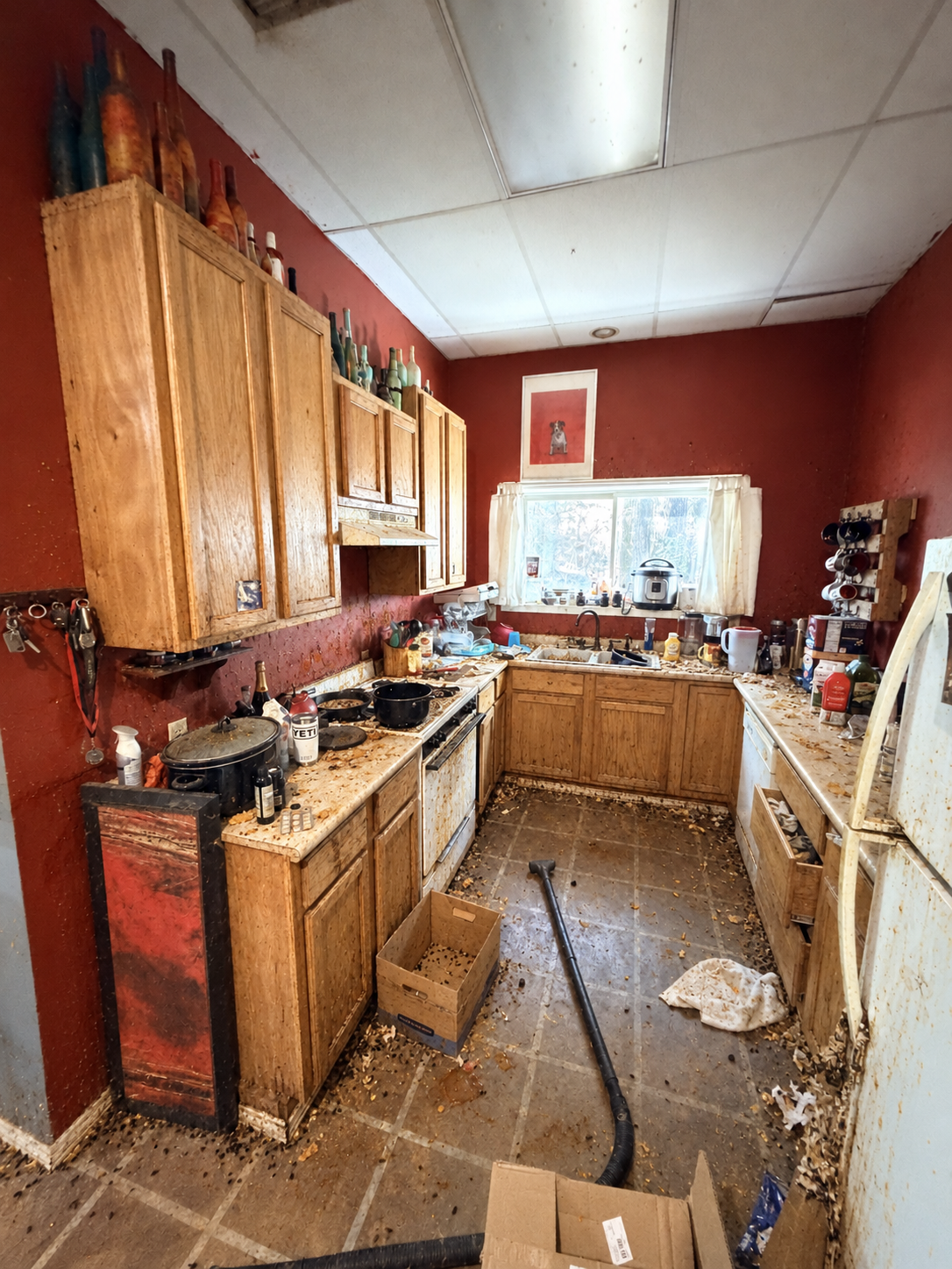 Kitchen before mouse and rat contamination cleanup in Gilmer Texas