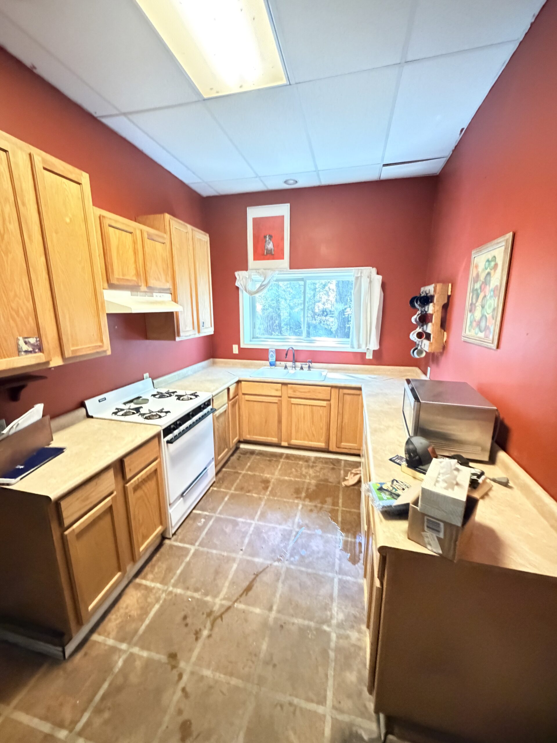 Kitchen after professional rodent-contamination cleanup in Gilmer Texas