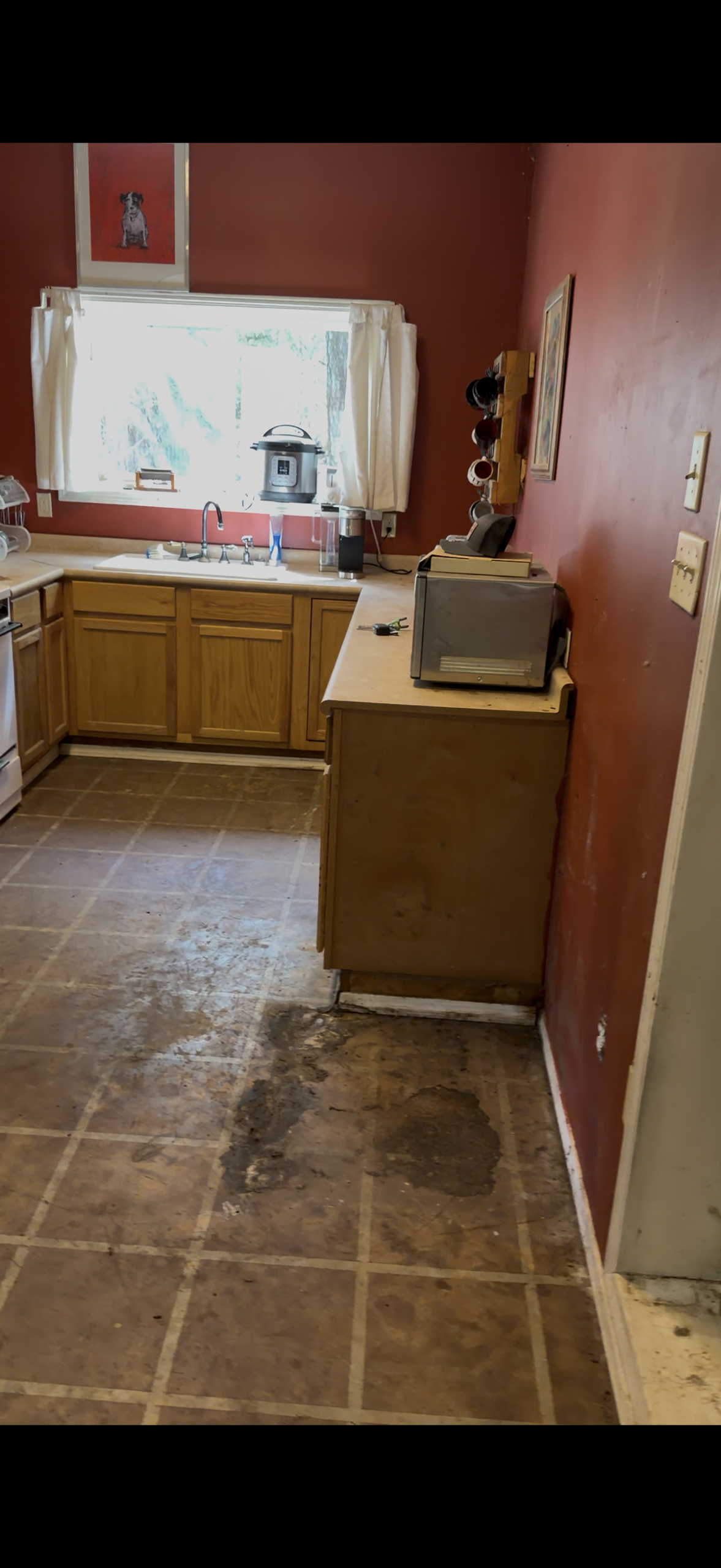 Area after contaminated refrigerator and spoiled contents were removed in Gilmer Texas