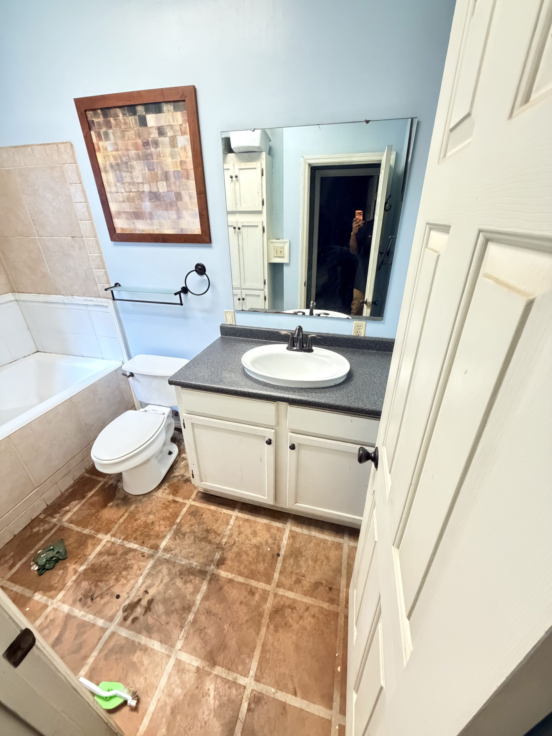 Bathroom after rodent-dropping and urine cleanup in Gilmer Texas